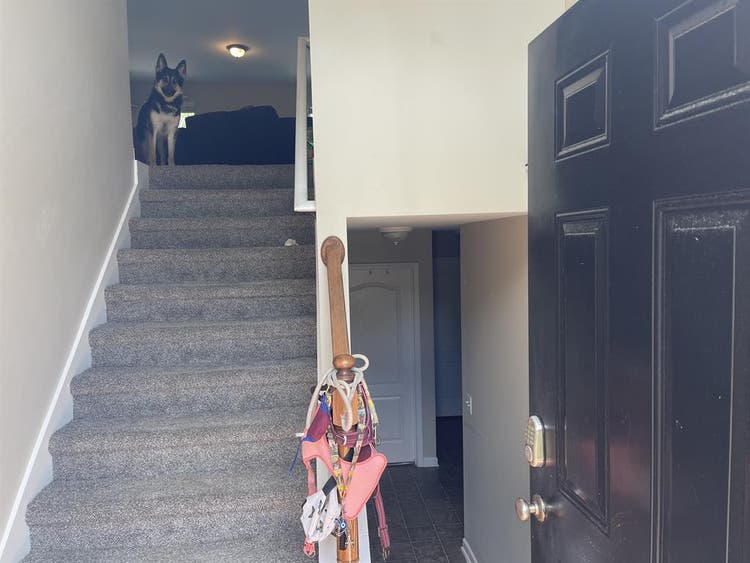 Room available in Dallas Home