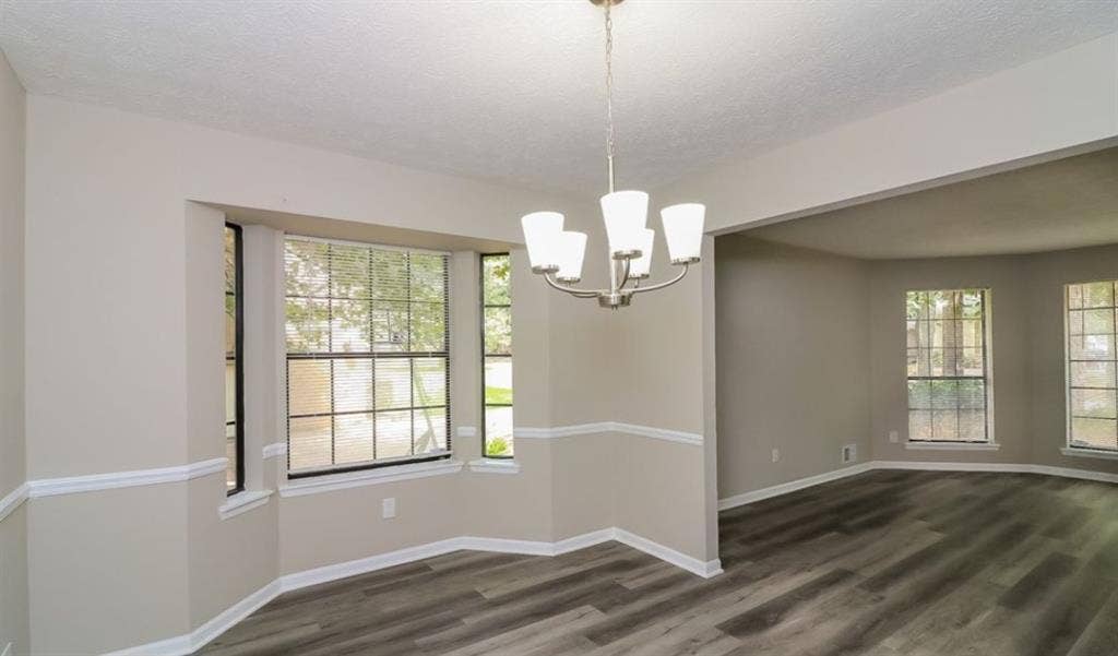 Looking for a roommate