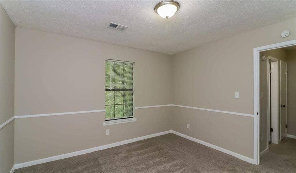 Looking for a roommate