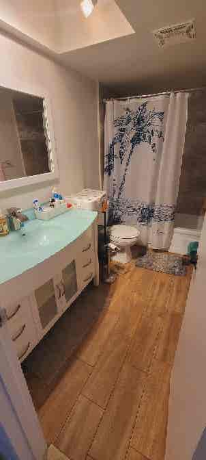 Looking for a room?