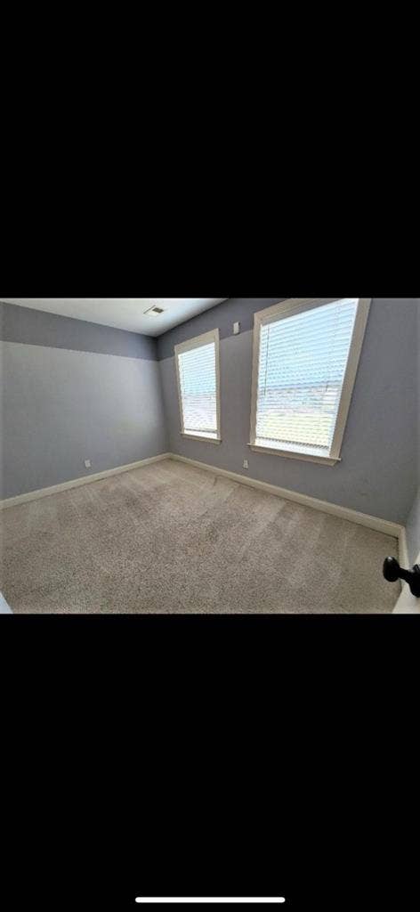 Looking for a pet-friendly roomie.
