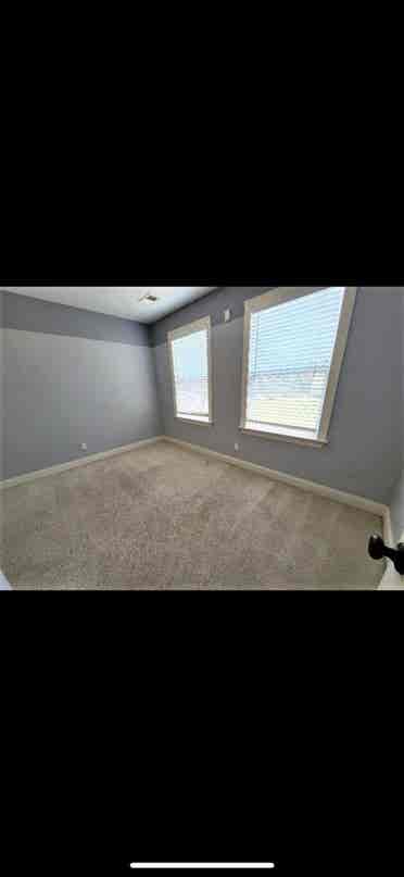 Looking for a pet-friendly roomie.