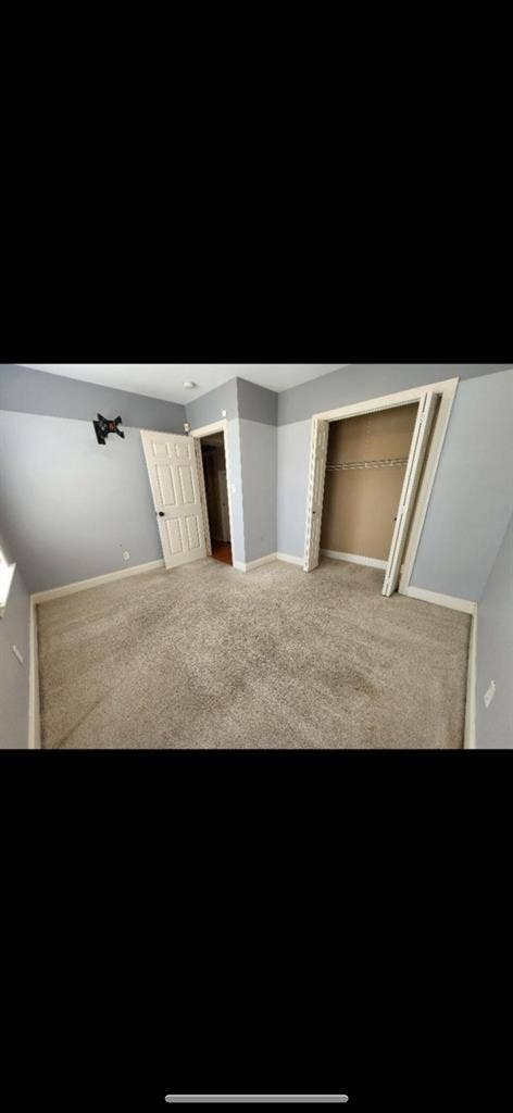 Looking for a pet-friendly roomie.