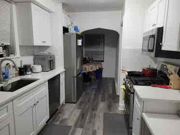 Looking for professional Roommate