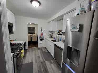 Looking for professional Roommate