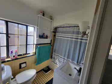 Looking for professional Roommate