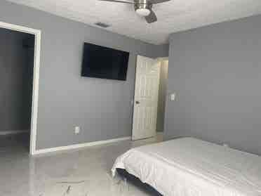 In search of a roommate