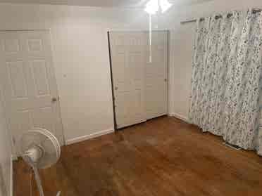 Female roommate wanted!