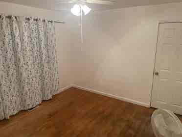 Female roommate wanted!