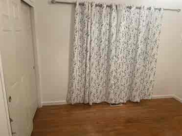 Female roommate wanted!