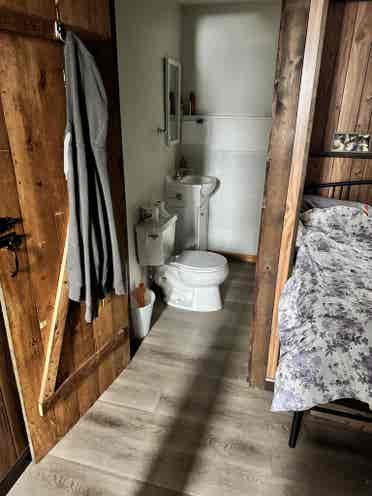 Looking for a mature Roommate.