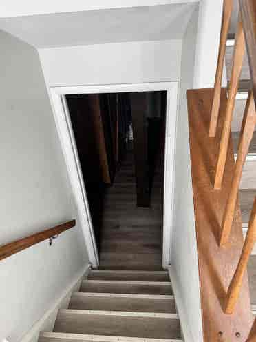 Looking for a mature Roommate.