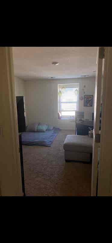 Looking for roommate asap!