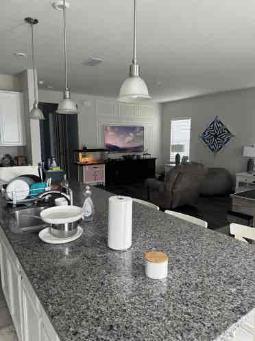 Beautiful Room for Rent in new home