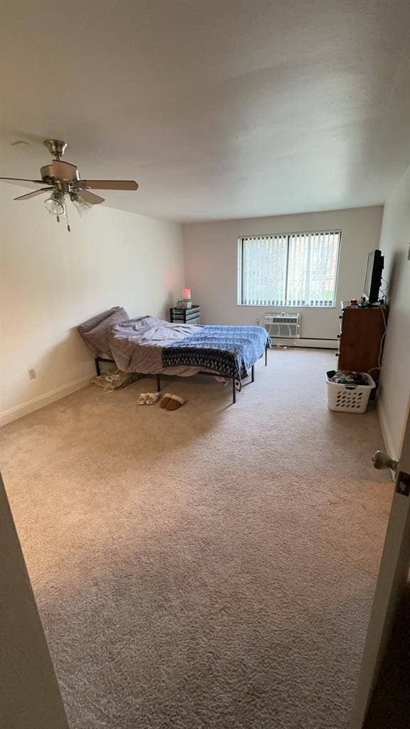need a roommate