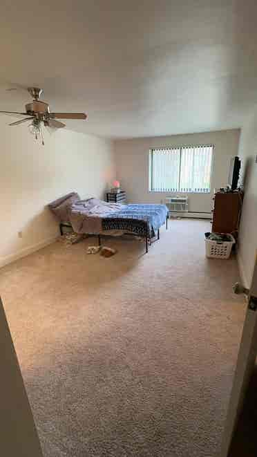need a roommate