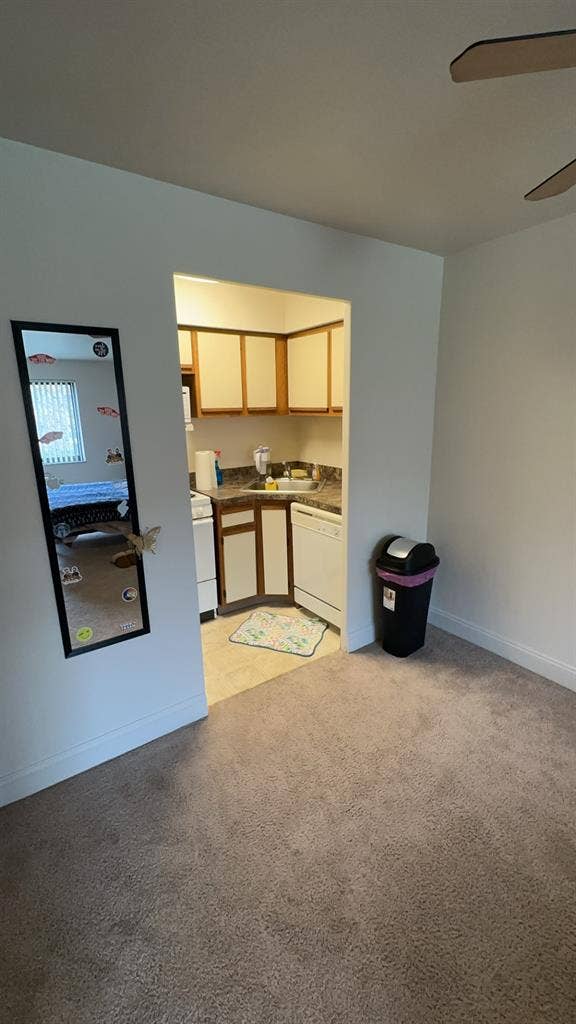 need a roommate