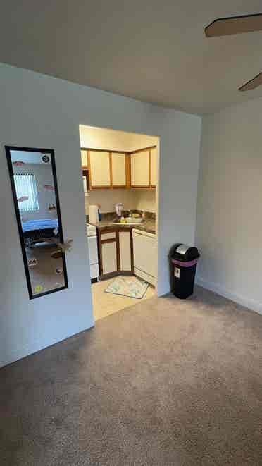 need a roommate