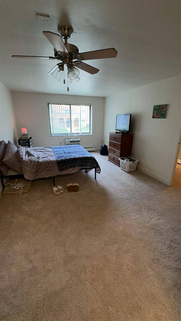 need a roommate