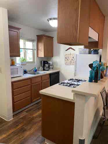 Female only cat friendly apartment!