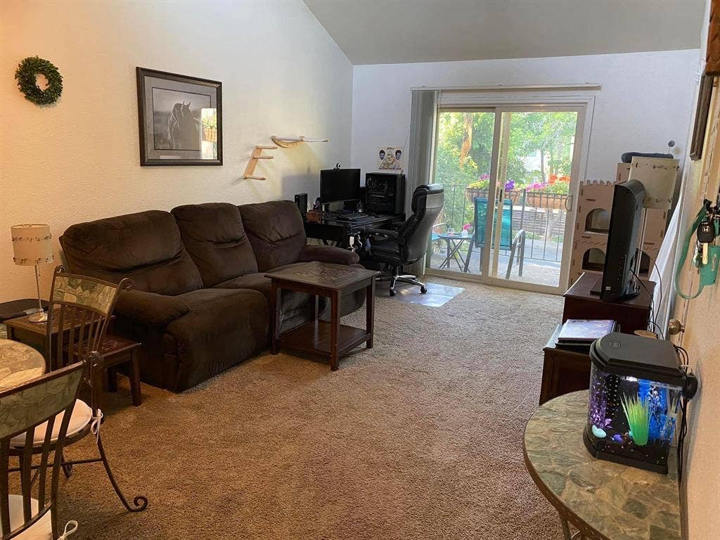 Female only cat friendly apartment!