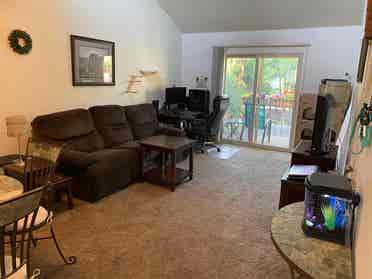 Female only cat friendly apartment!
