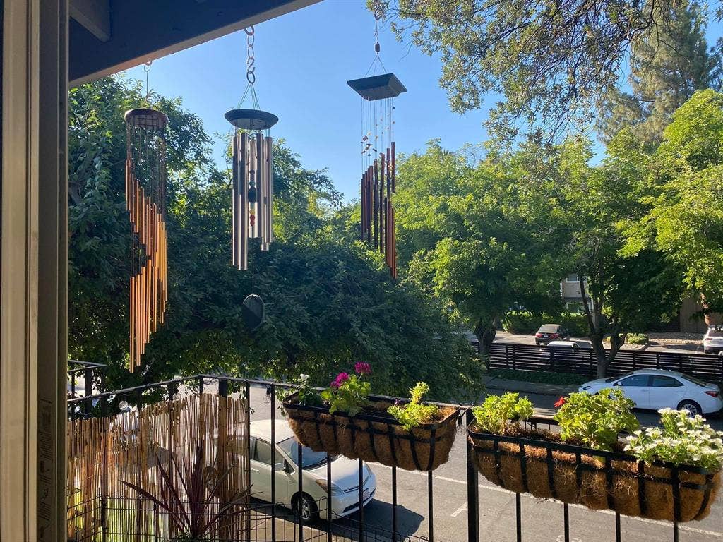 Female only cat friendly apartment!