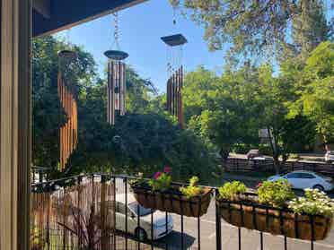 Female only cat friendly apartment!