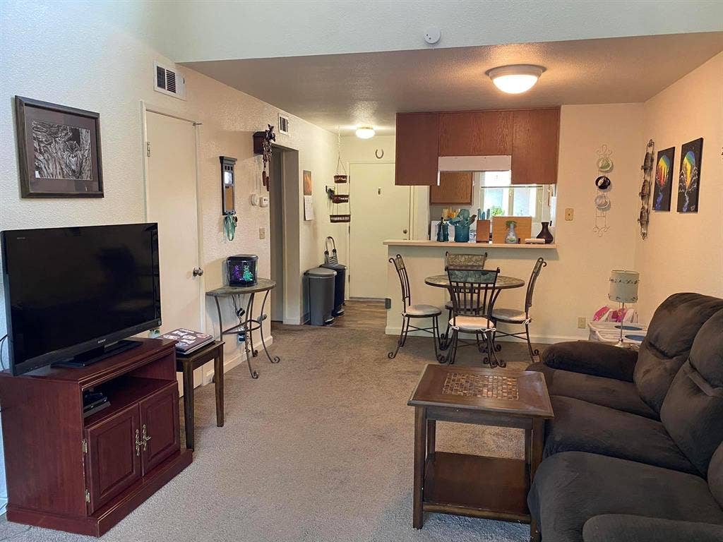 Female only cat friendly apartment!