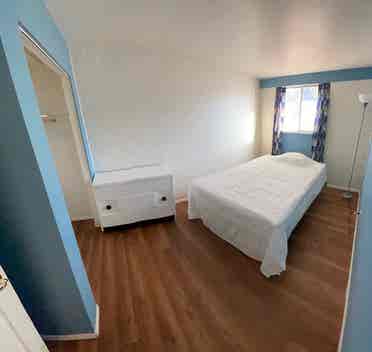 Roommate Wanted