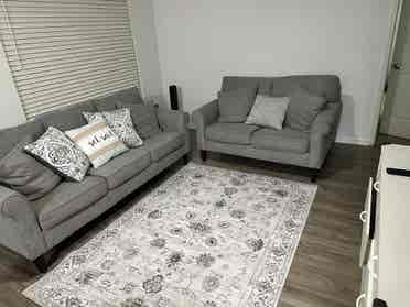 Looking for a roommate