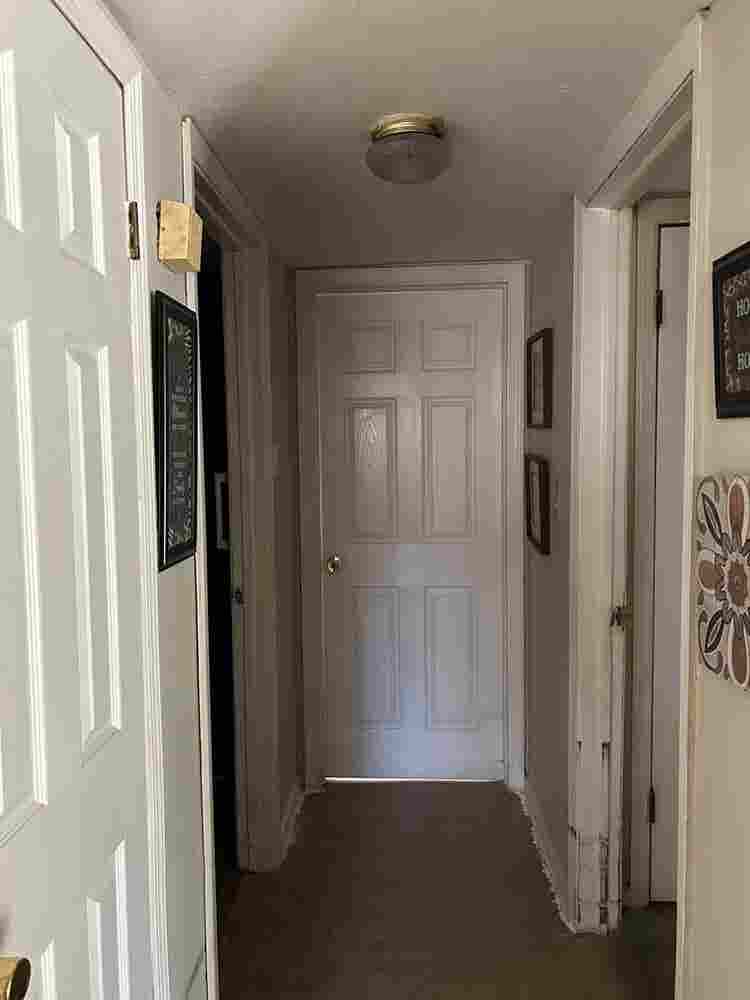 Looking For Roommate
