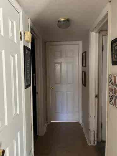 Looking For Roommate