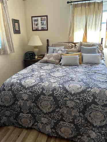 Looking For Roommate