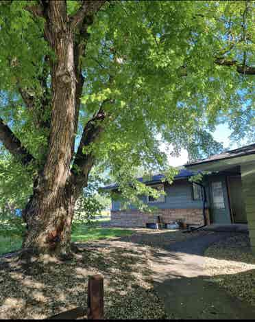 Great located, spacious house