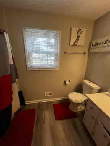 Rent A Room