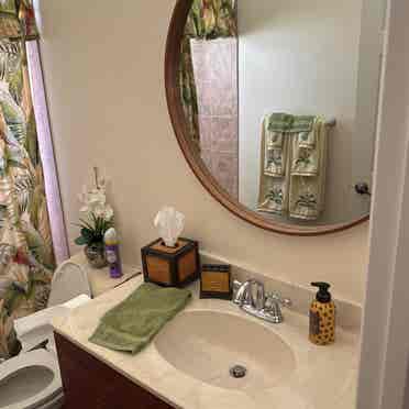Looking for a roommate in my home