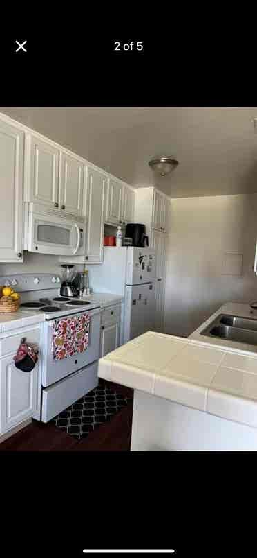 Shared apartment female only