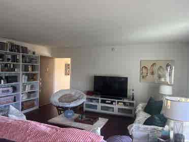 Shared apartment female only