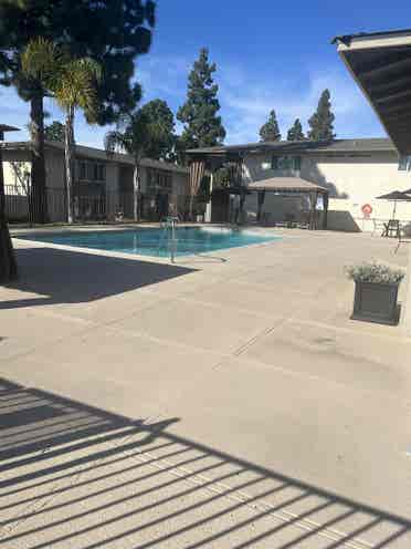 Shared apartment female only