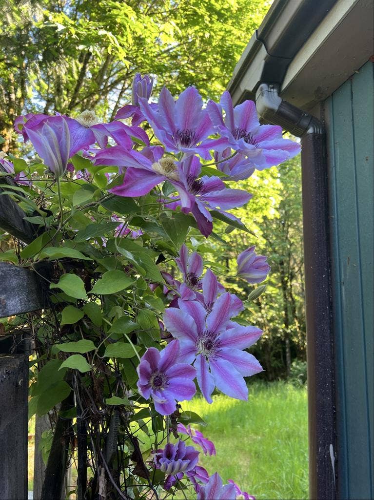 2 rooms available immediately!