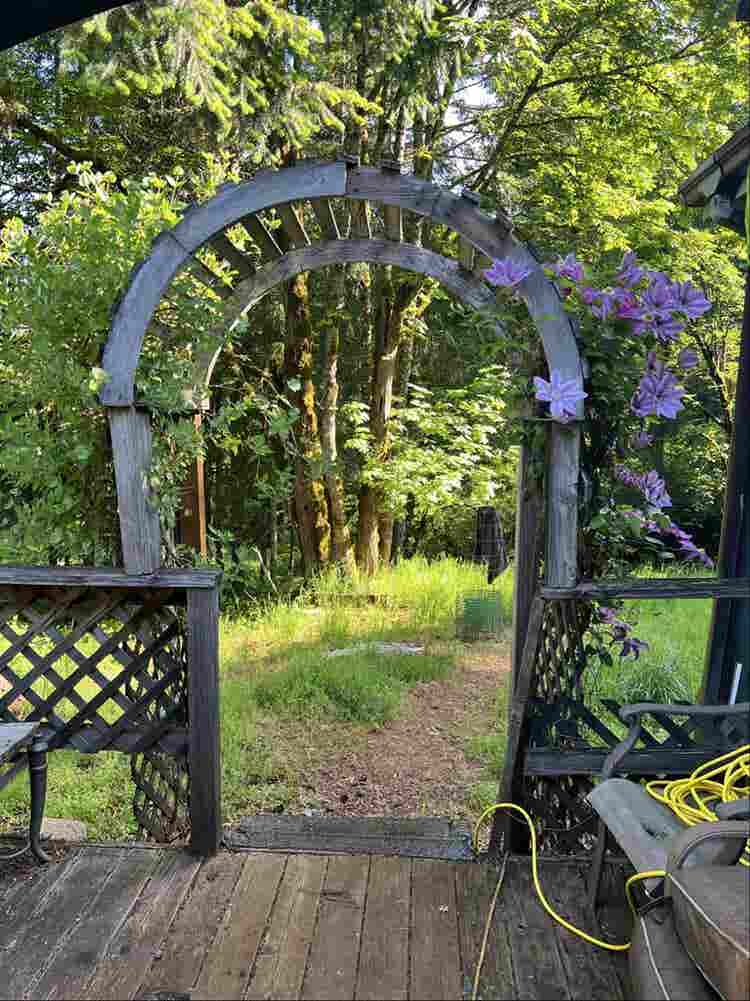 2 rooms available immediately!