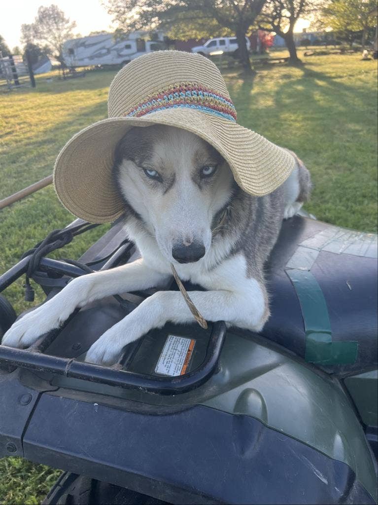 2 rooms available immediately!