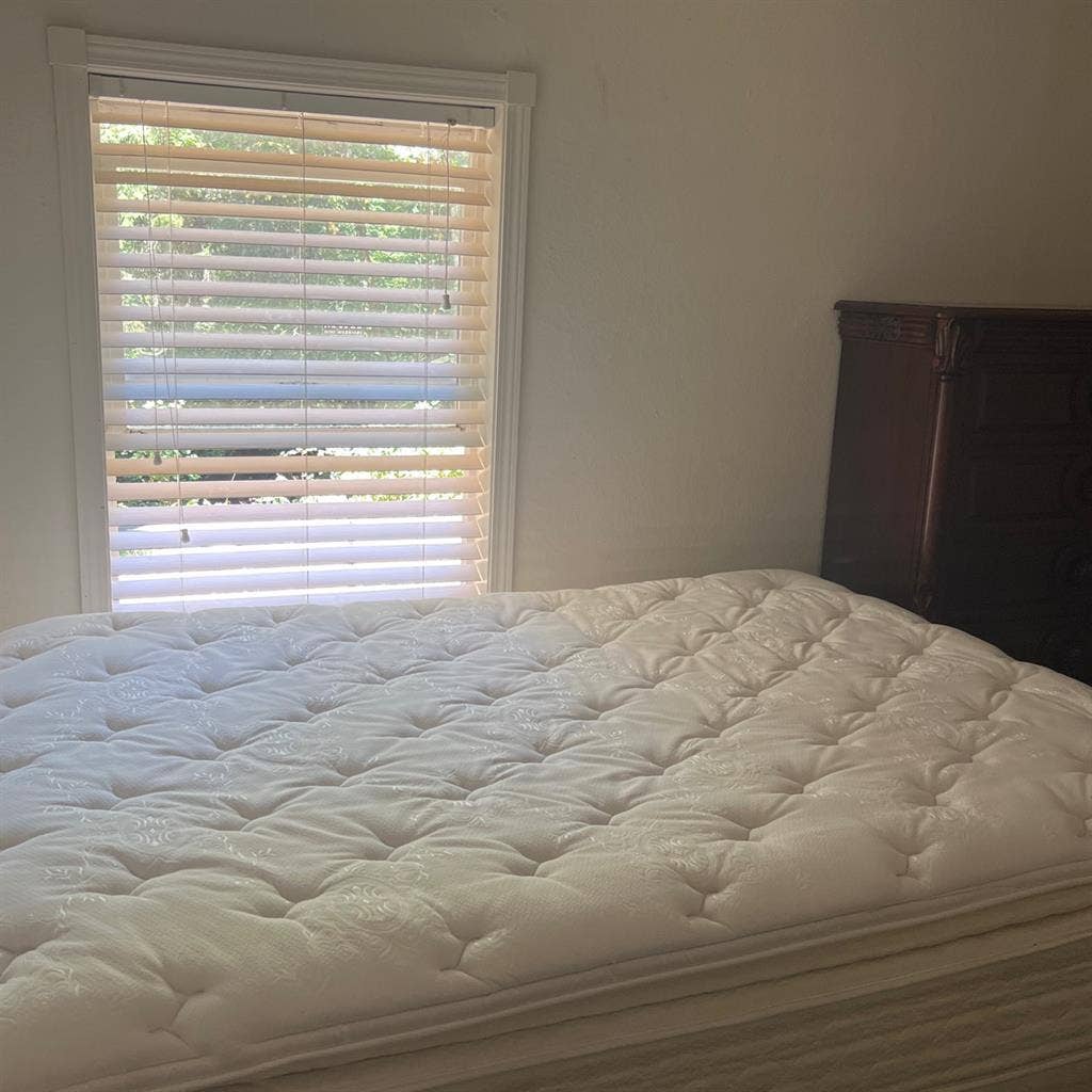 2 rooms available immediately!