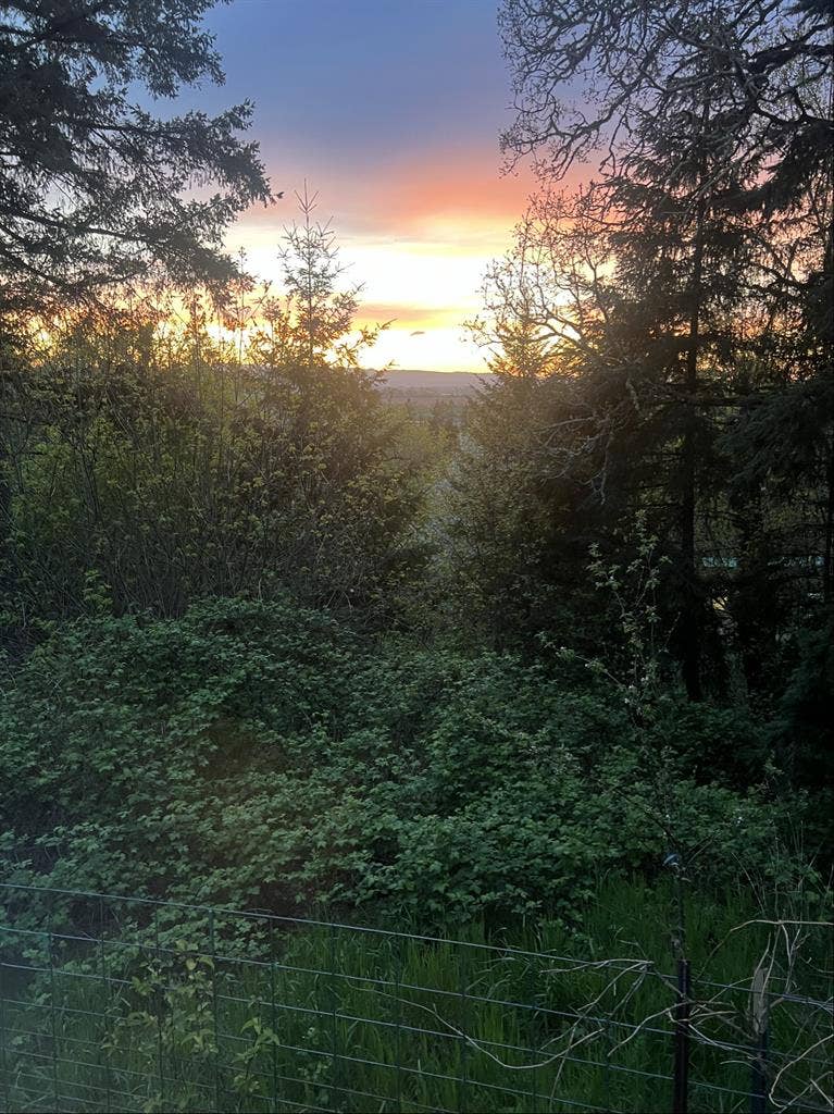 2 rooms available immediately!