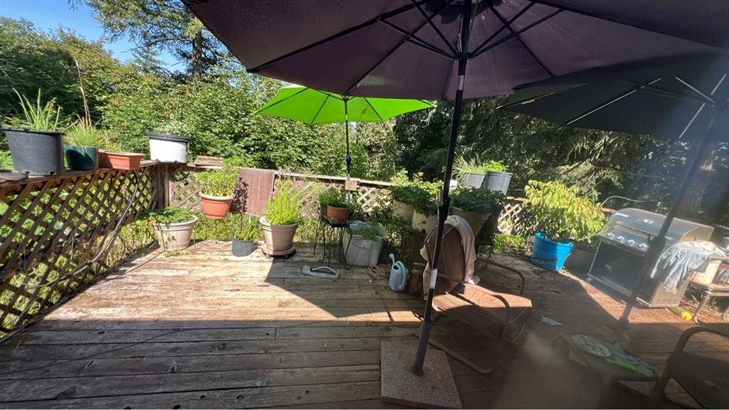 2 rooms available immediately!