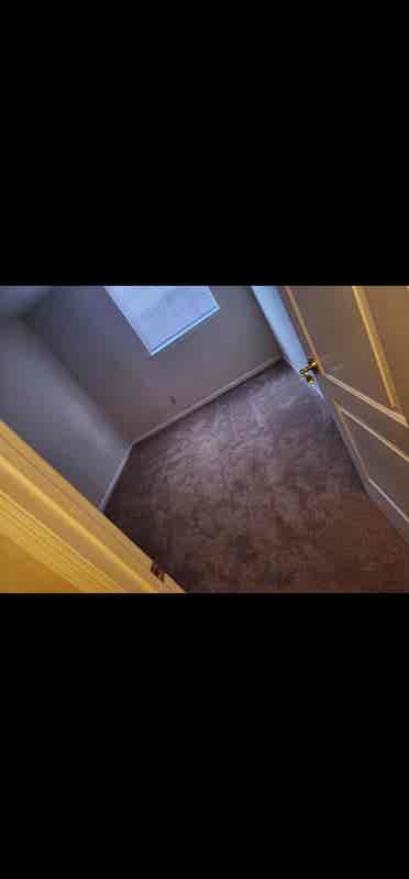 Looking For A Roommate