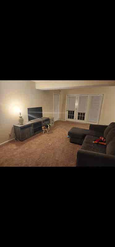 Looking For A Roommate