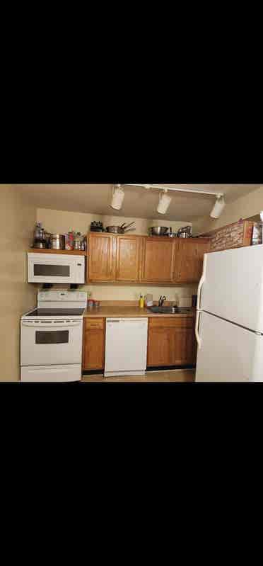 Looking For A Roommate