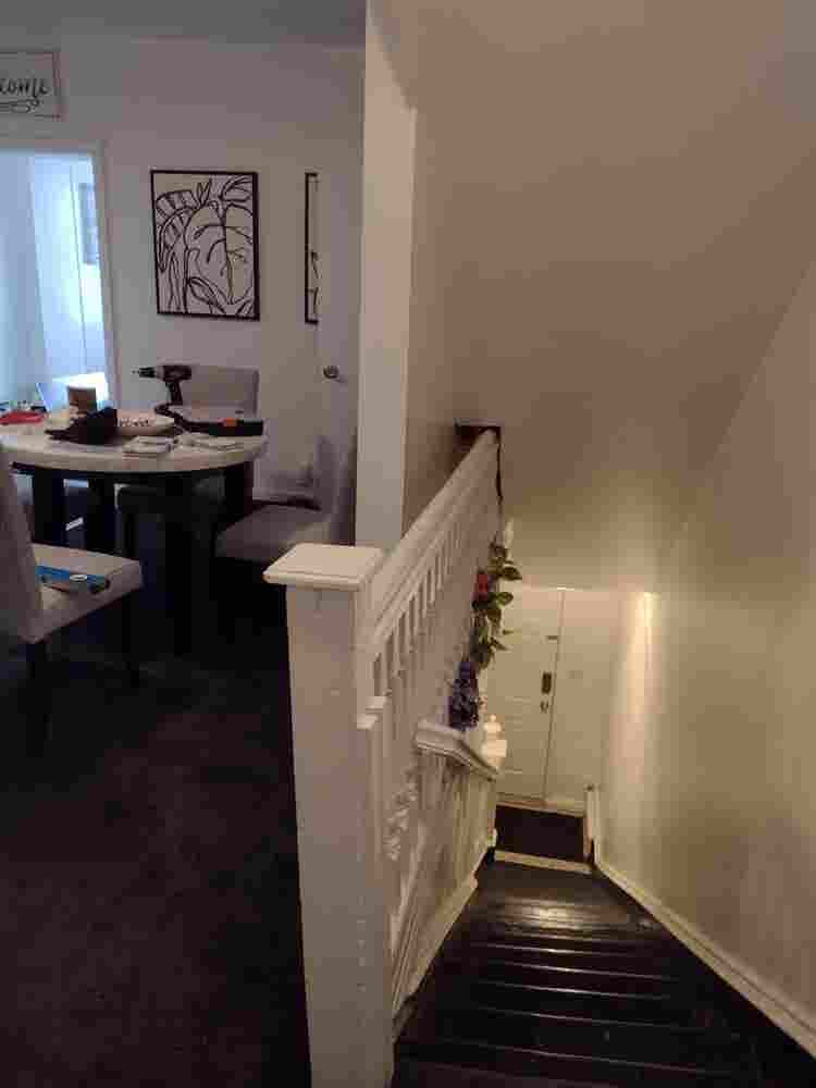 Roommate wanted to share apartment